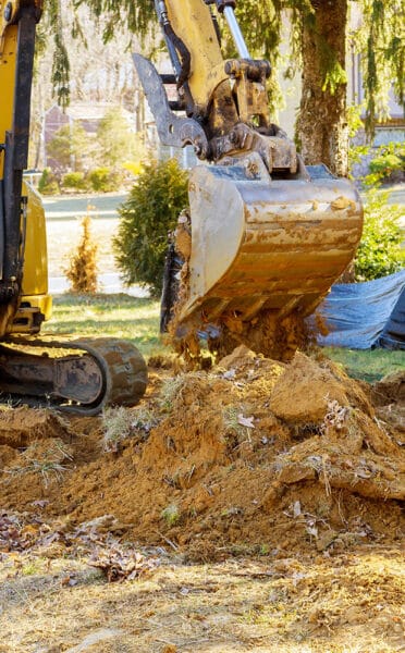 Landscape Makeover